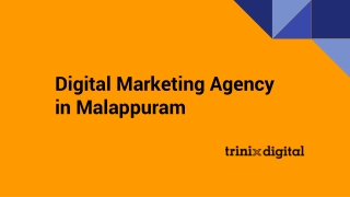 Digital Marketing Agency in Malappuram