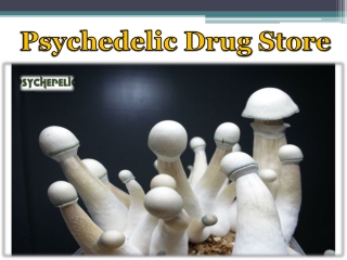 Psychedelic Drug Store