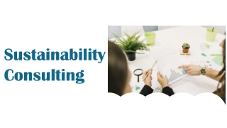 Sustainability Consulting