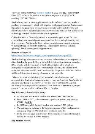 Flat Steel Market - Global Revenue Growth Expectations in the Near Future