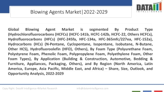 Blowing Agents Market Share and Growth Analysis 2022-2029