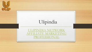 Ulipindia Network Affiliate Marketing Professional | Ulipindia.com