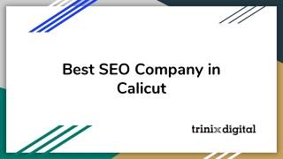 Best SEO Company in Calicut | Trinix Digital