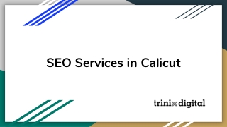 SEO Services in Calicut - Trinix Digital