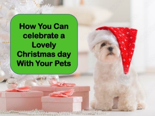 How You Can Make This  Christmas  Memorable with your Pets