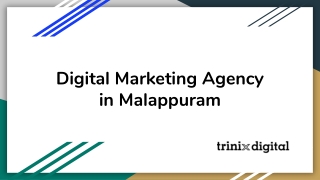 Digital Marketing Agency in Malappuram