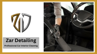 Professional Car Interior Cleaning