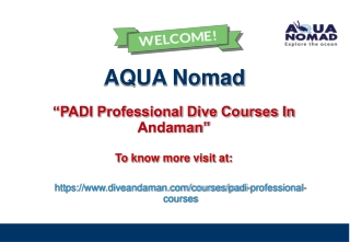 PADI Professional Dive Courses In Andaman