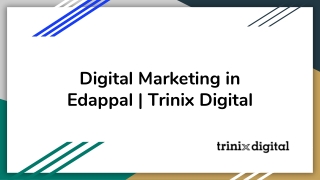 Digital Marketing in Edappal | Trinix Digital