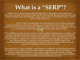 What is a “SERP”