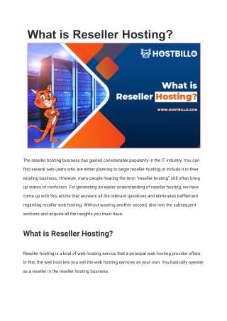 What is Reseller Hosting?