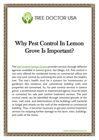 Why Pest Control In Lemon Grove Is Important