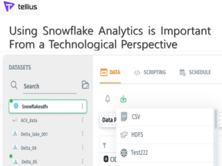 Using Snowflake Analytics is Important From a Technological Perspective