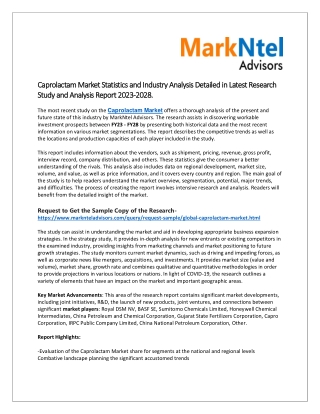 Caprolactam Market Share, Size, News and Trends