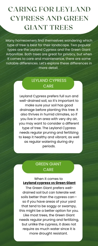 Leyland Cypress And Green Giant Trees