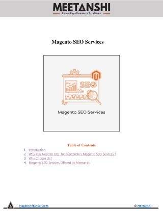 Magento SEO Services