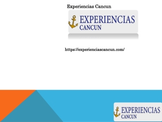 Cancun Yacht Rental , experienciascancun.com