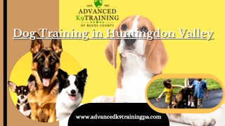 Get the best Dog Training in Huntingdon Valley– Advanced K9 Training