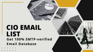 CIO Email List  100% verified cio email database