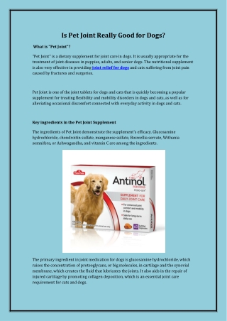 Is Pet Joint Really Good for Dogs