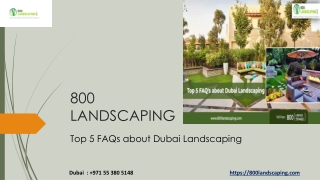 Top 5 FAQs about Dubai Landscaping