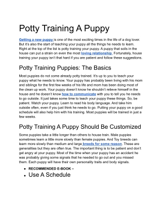 Potty Training A Puppy