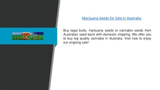 Marijuana Seeds for Sale in Australia | Australianseedbank.com