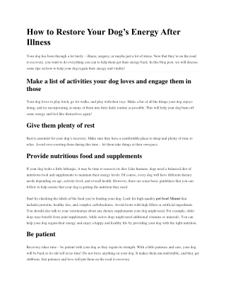 How to Restore Your Dog's Energy After Illness - The Love Pets