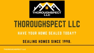 Squirrel Exterminator Near Me – Thoroughspect LLC