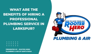 What are the benefits of hiring a Professional Plumbing Service in Larkspur