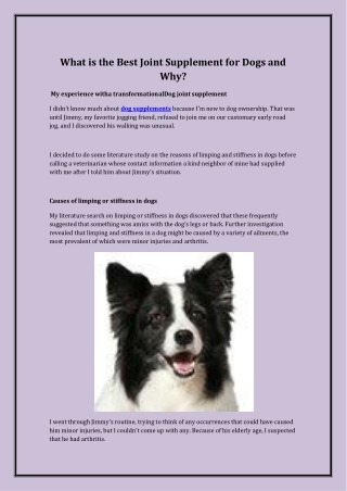 What is the Best Joint Supplement for Dogs and Why