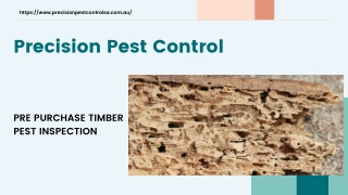 Pre Purchase Pest Inspections Adelaide | Australia