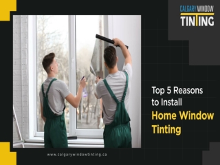 Top 5 Reasons to Install Home Window Tinting