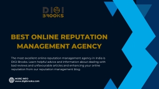 Best Online Reputation Management Agency - DIGI Brooks