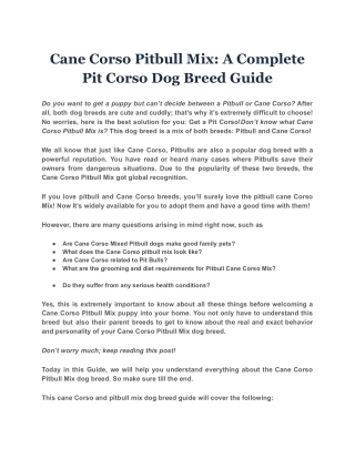 Cane Corso Pitbull Mix: A Complete Pit Corso Dog Breed Guide