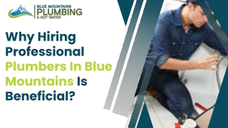 Why Hiring Professional Plumbers In Blue Mountains Is Beneficial  (1)