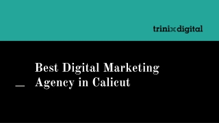 Best Digital Marketing Agency in Calicut