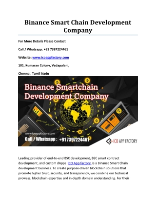 Binance Smart Chain Development Company (1)