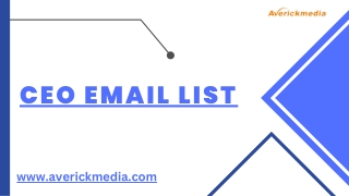 CEO Email List | Latest Data