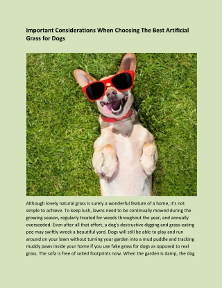 Important Considerations When Choosing The Best Artificial Grass for Dogs