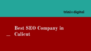 Best SEO Company in Calicut, Kerala