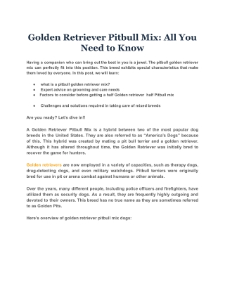 Golden Retriever Pitbull Mix: All You Need to Know