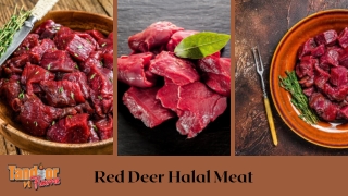 Red Deer Halal Meat