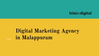 Digital Marketing Agency in Malappuram