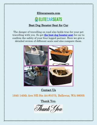 Dog Booster Car Seats
