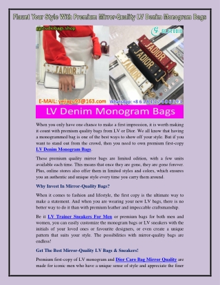 LV Denim Monogram Bags