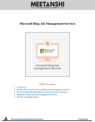 Microsoft Bing Ads Management Services