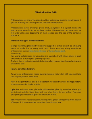Philodendrons Care Guide | Buy Houseplant Online