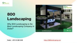 Why 800 Landscaping is the Best Landscaping Company in Dubai