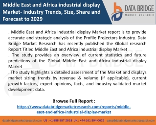 Middle East and Africa industrial display Market